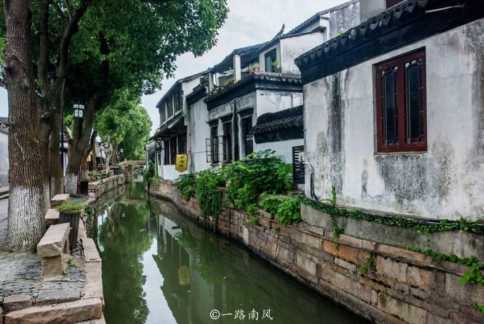 狗见狗爱!爱不释口~